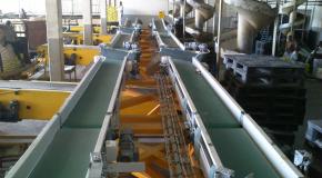 Γραμμή διακίνησης σάκου